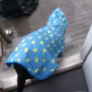 Meet your Posher, Donna